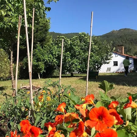 Casa Da Gavea Cerveira - Great Retreat