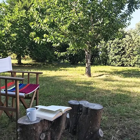 Casa Da Gavea Cerveira - Great Retreat Prázdninový dům